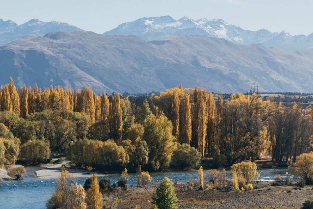 Contact Alpine Junction Albert Town, Wanaka Alpine Junction